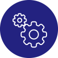rapid_solution